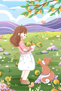 秋天女孩摘柿子插画图片
