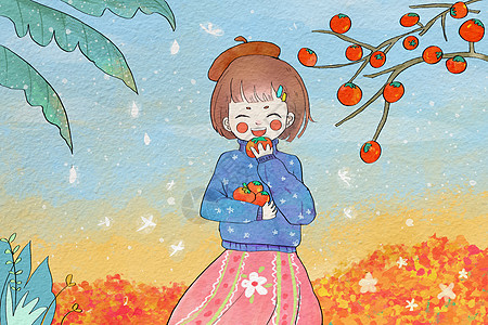秋天霜降柿子插画图片