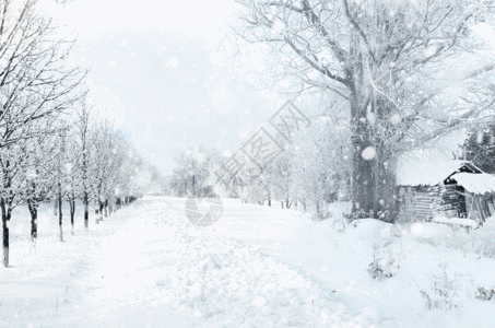 雪花冬天雪景gif动图高清图片