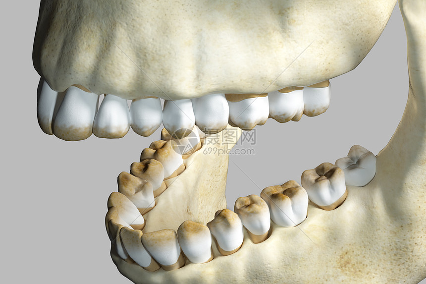 三维牙齿牙渍背景图片