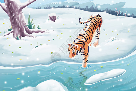 冬天喝水的老虎小清新卡通插画图片