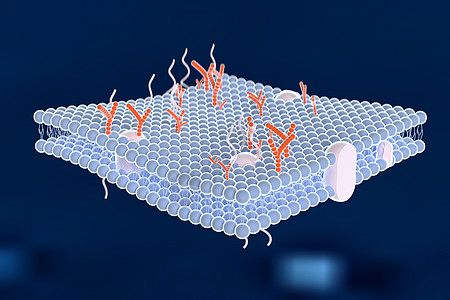 糖脂和蛋白质立体三维细胞膜微观场景设计图片