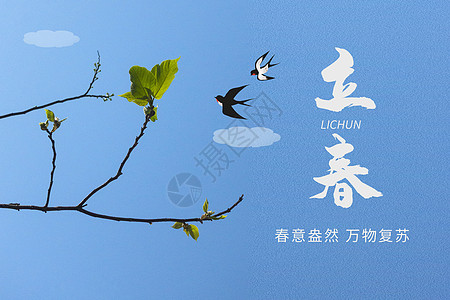 发芽的树枝简约立春海报设计图片