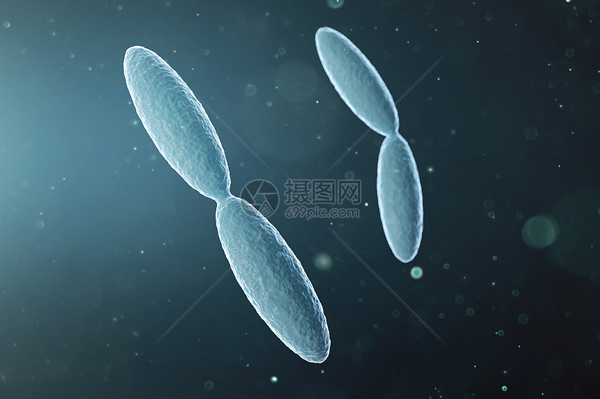 嗜酸乳杆菌细胞背景图片