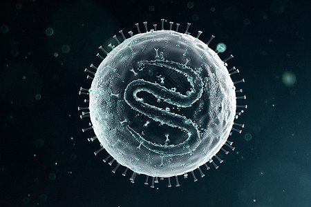 三维麻疹病毒模型图片