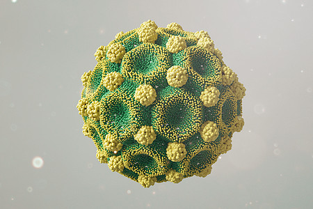 三维乙形肝炎细胞模型图片