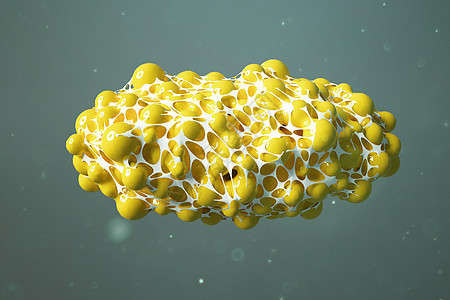 三维脂肪细胞模型图片