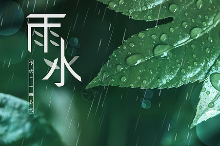 传统节气之雨水背景图片