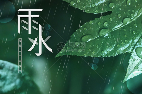 传统节气之雨水图片