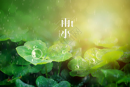 绿色简约雨水背景图片