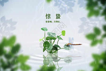 雨天植物春雷响惊蛰设计图片