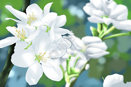 惊蛰节气花卉插画图片