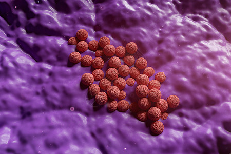 三维mrsa致病菌模型图片