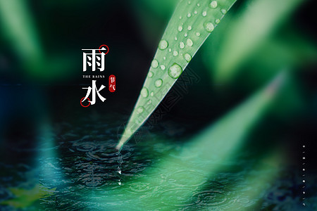 雨水节气海报背景图片