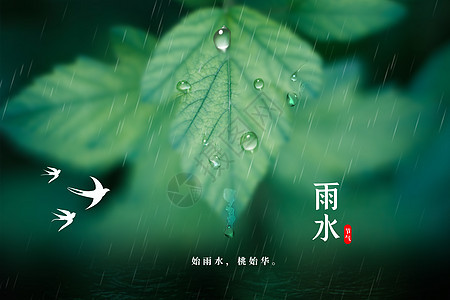 清新简约雨水海报背景图片