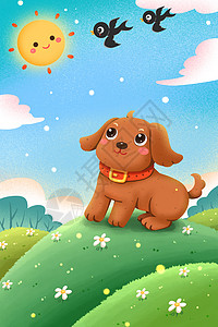 春天草地上可爱宠物泰迪狗插画图片