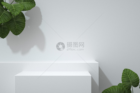 极简白色植物背景图片