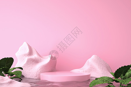 极简粉色石头植物展台背景图片