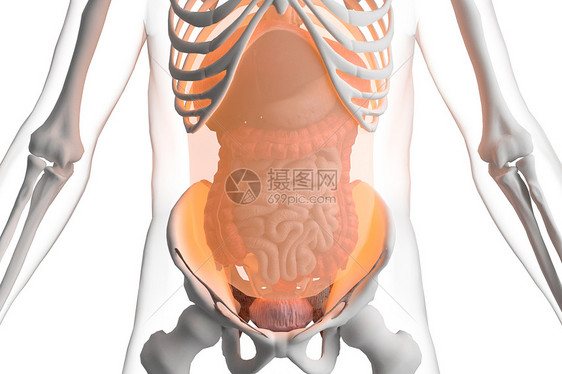 三维腹膜场景图片