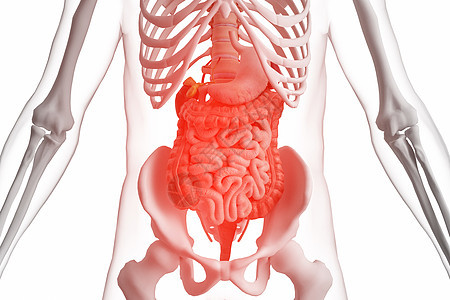 胃肠疾病场景图片