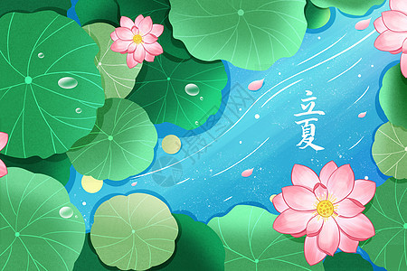中国传统24节气立夏荷花荷叶背景图片