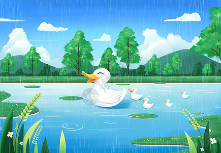 小清新谷雨春雨小鸭子在荷塘游泳插画背景图片