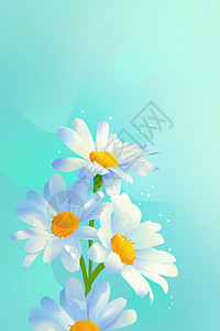 春天里的一朵小白花背景图片