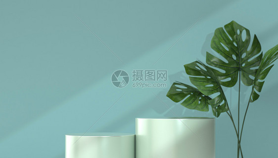 清新植物光影几何展台图片