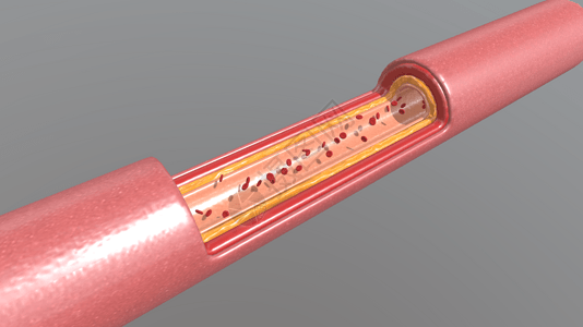 三维血液流动场景图片