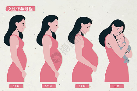 怀孕周期卡通图片
