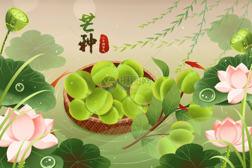 古风二十四节气荷塘荷花青梅芒种插画gif动图图片 正版gif素材 摄图网 古风二十四节气荷塘荷花青梅芒种插画gif动图图片 正版gif素材 摄图网