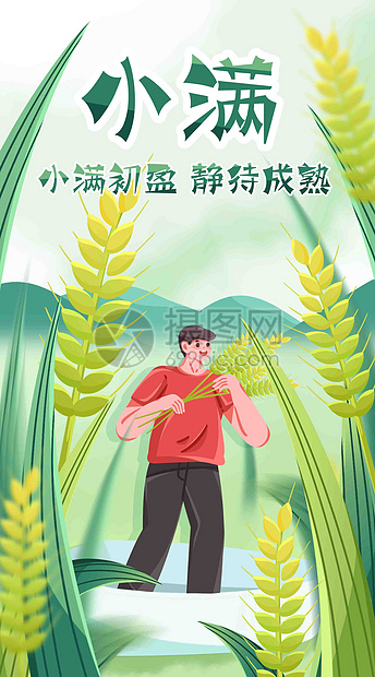 小满种麦子竖屏插画图片