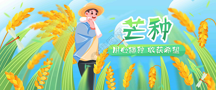 二十四节气之芒种插画banner高清图片