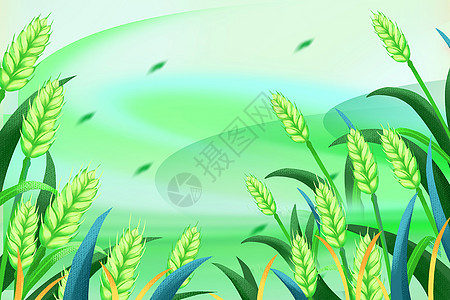 清新麦穗背景图片