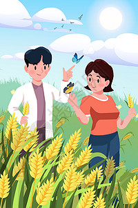 二十四节气芒种情侣在成熟的麦田中追逐触碰蝴蝶图片