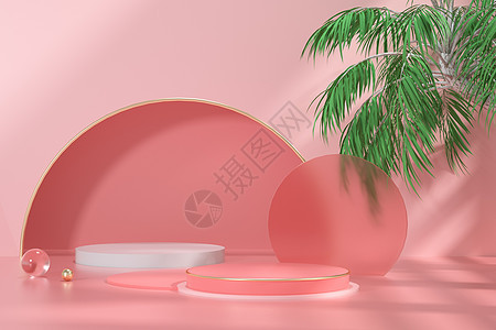 粉色植物光影几何展台图片