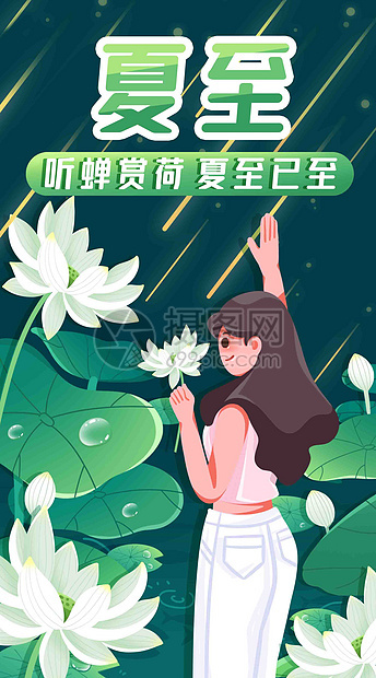 夏夜赏荷花竖屏插画图片