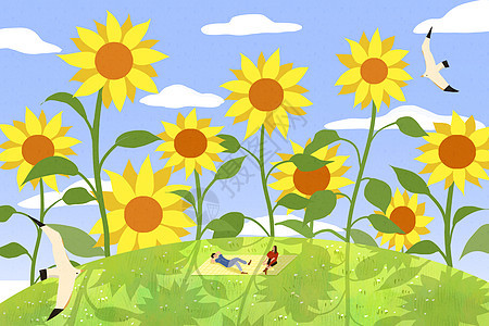 夏天向日葵插画背景图片