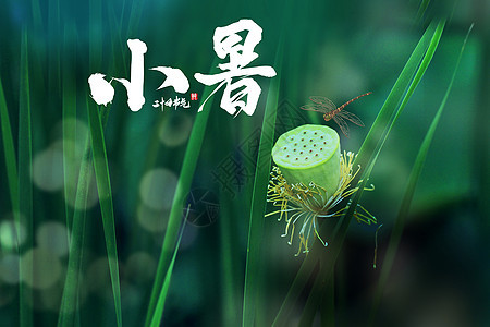 创意简约小暑节日图片