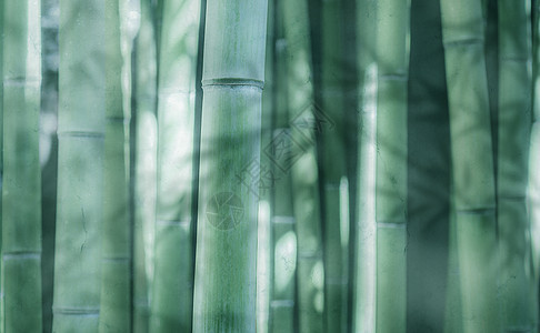 竹纹背景图片