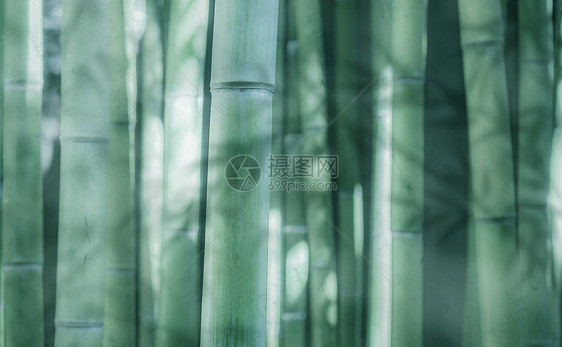 竹纹背景图片