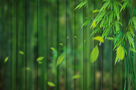 绿色竹子背景背景图片