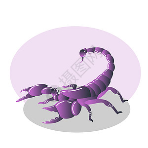 蝎子故事元素动物昆虫图片