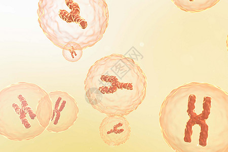 载体XY染色体场景设计图片