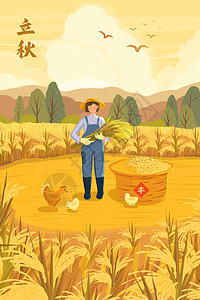 立秋丰收收割水稻背景图片