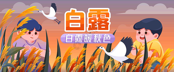 白露到看芦苇插画banner图片