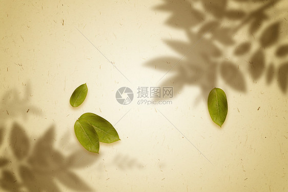 大气树叶简约光影背景图片