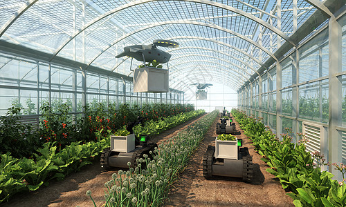 采摘蔬菜3D自动化农业场景设计图片