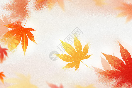 玻璃风秋天红枫叶背景图片