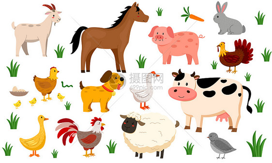 农业养殖卡通矢量动物插画图片